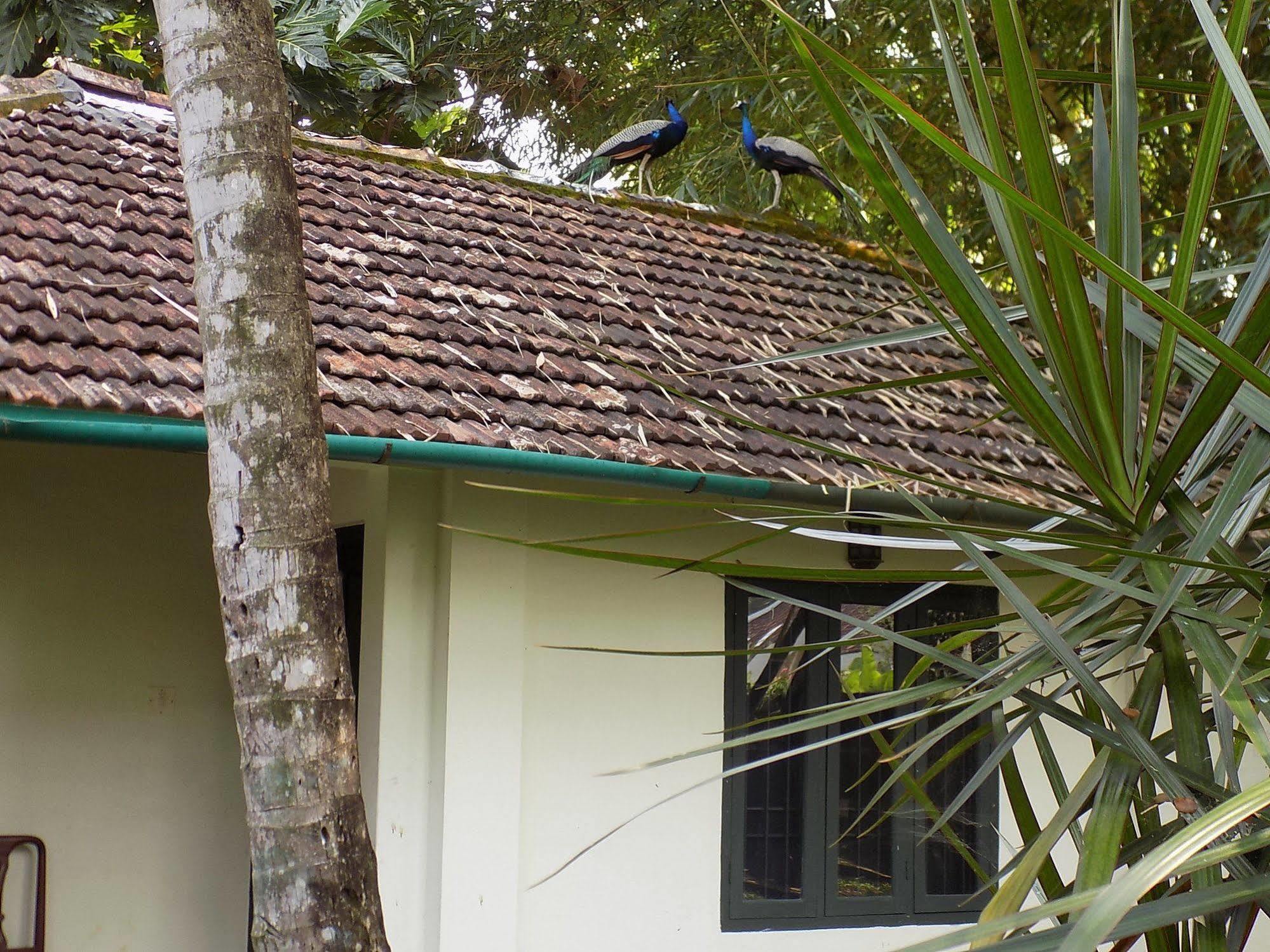 לינה וארוחת בוקר Kochi Elphinstone Residency מראה חיצוני תמונה